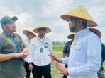 Rombongan Kemenko Bidang Pangan mengunjungi area pengolahan ikan milik Regal Springs Indonesia, Rabu, 22 Januari 2025. (ist)